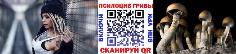 Галлюциногенные грибы Psilocybine cubensis  Петровск-Забайкальский 